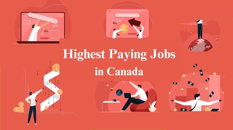 Job Opportunities International Students Get In Canada